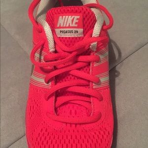 Nike Pegasus 29